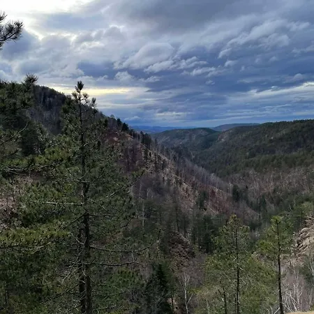 Appartement Borovi 3 - Tartufo Nero *