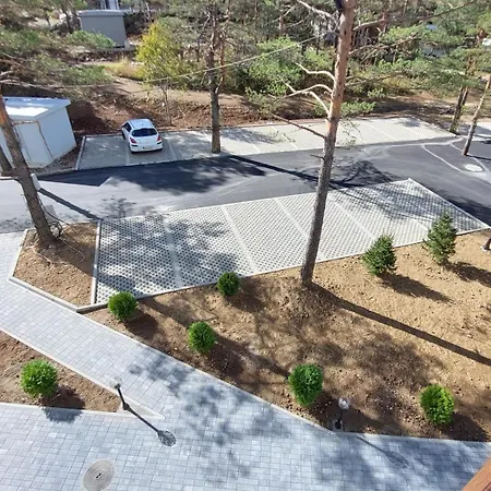 Borovi 3 - Tartufo Nero Divčibare