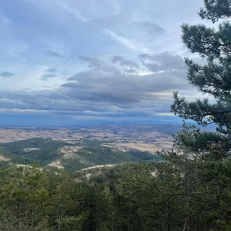 Borovi 3 - Tartufo Nero