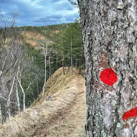 Borovi 3 - Tartufo Nero Divčibare