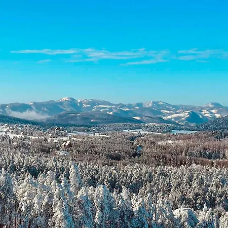 Appartement Borovi 3 - Tartufo Nero *