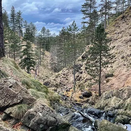 Appartement Borovi 3 - Tartufo Nero Divčibare